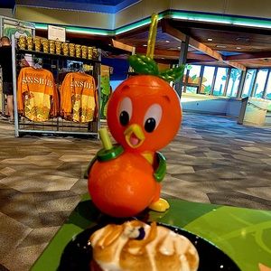 2023 Disney Park Epcot Orange bird sipper Flower and Garden Brand new